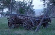 Thumbnail wool wagon cart horse drawn bullock