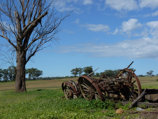 Product picture wool wagon cart 3