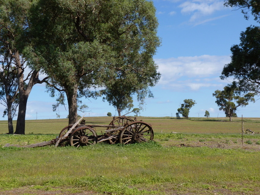 Product picture wool wagon cart 4