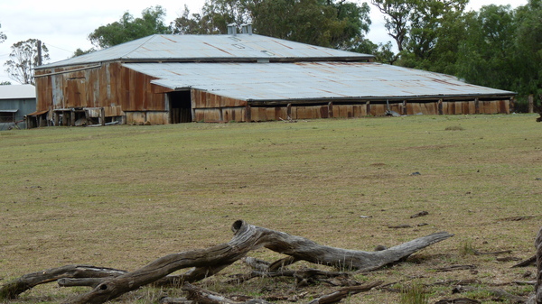 Product picture wool shed