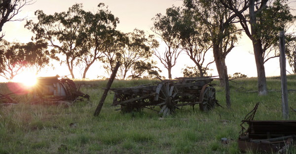 Product picture wool wagon cart 